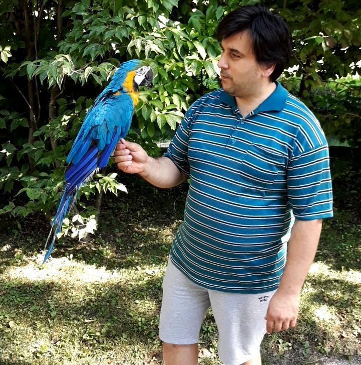 Birds Paradise Alojz Osterman