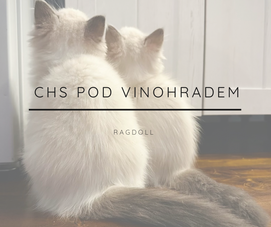 Chs Pod Vinohradem