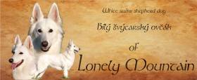 Of Lonely Mountain