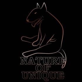 Nature of Unique
