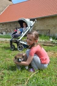 Z Kosova pod Kletí