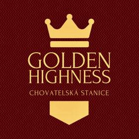 Golden Highness