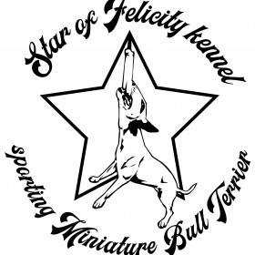 Star of Felicity