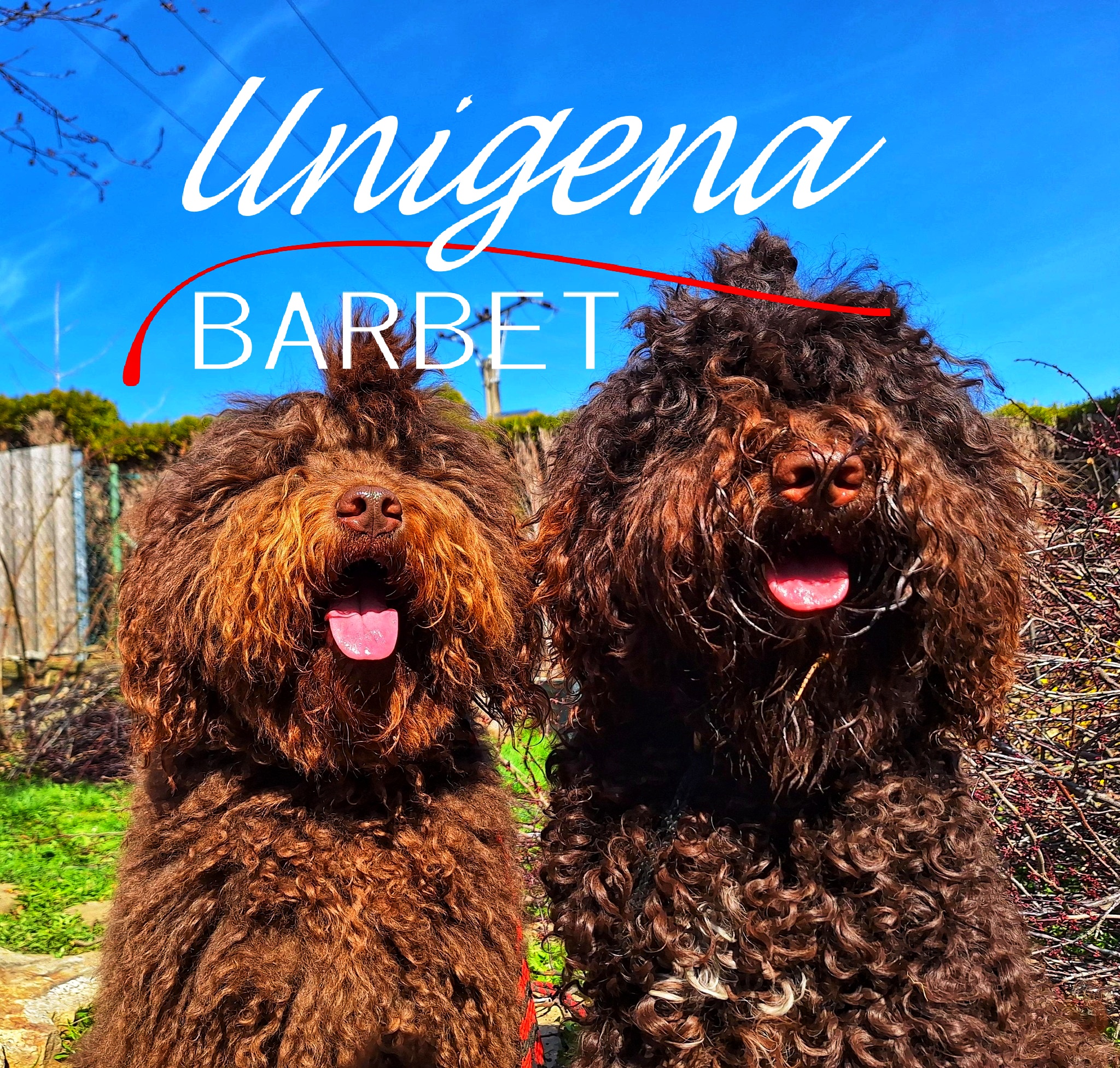 Unigena BARBET 