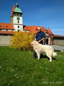 Filipův dvůr