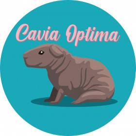Cavia Optima