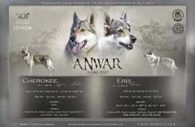 Anwar