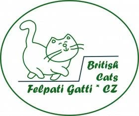 A Felpati Gatti