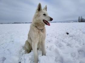 Argo Slovakia
