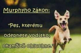 Z Kraje Muhu