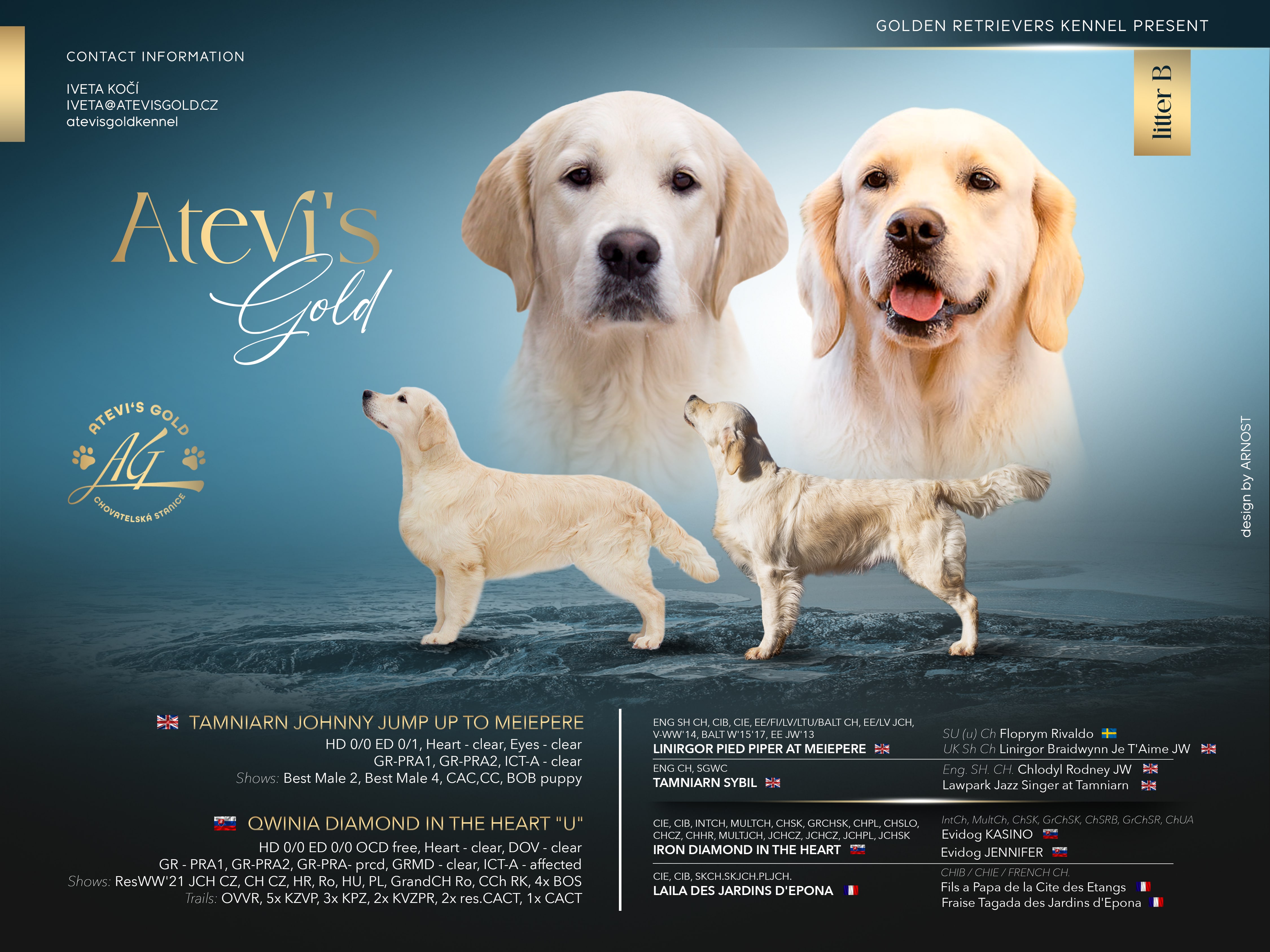 Atevi's Gold 