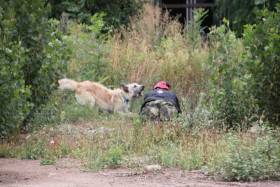 Ritter von Falkenberg