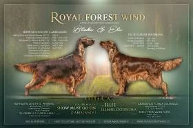 Royal Forest Wind