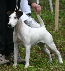 Od Hrubého lesa