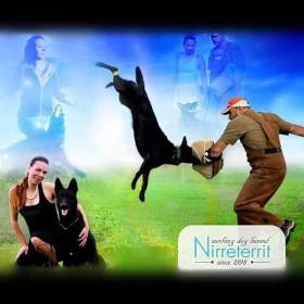 Nirreterrit