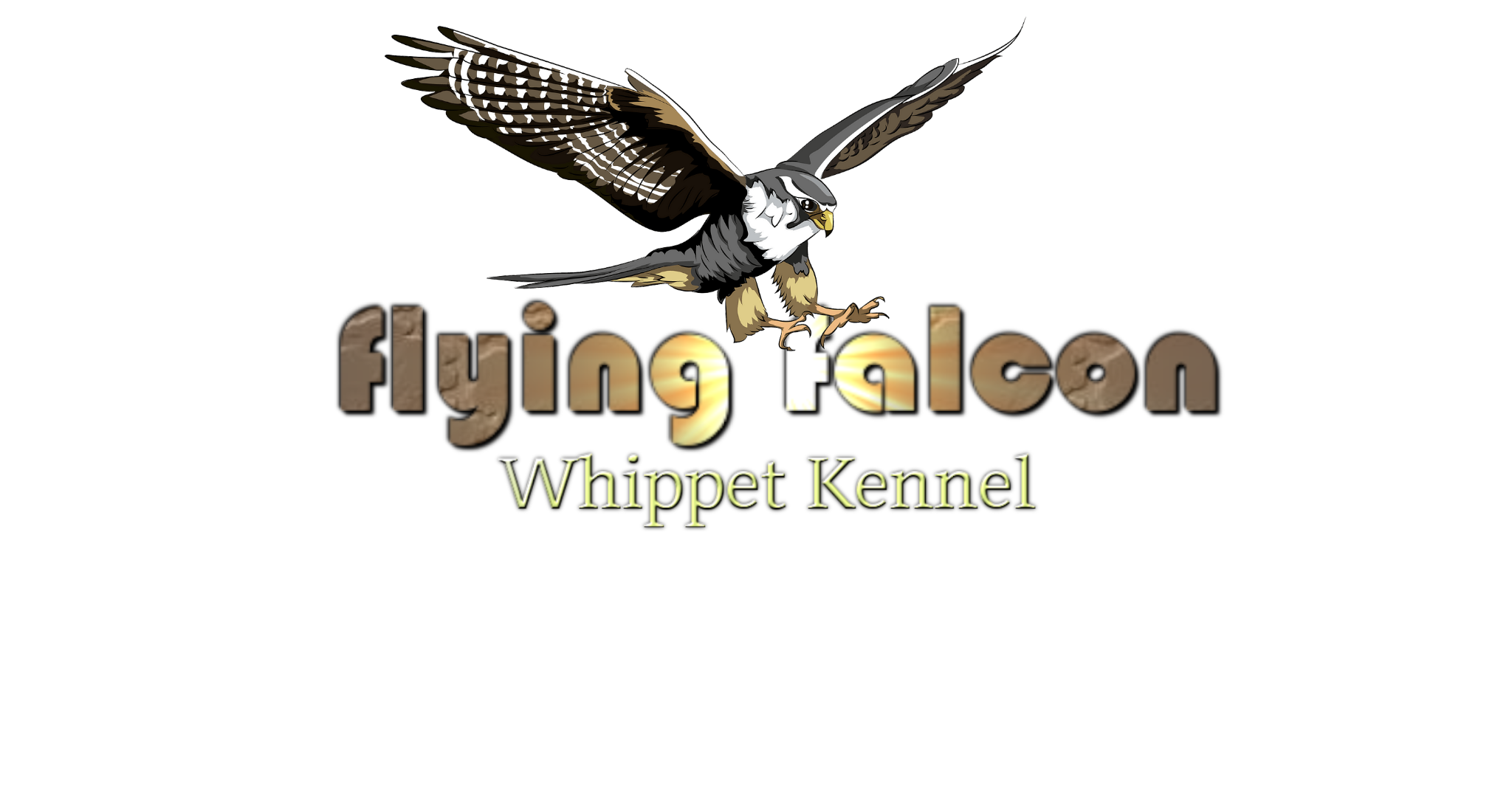 Flying Falcon
