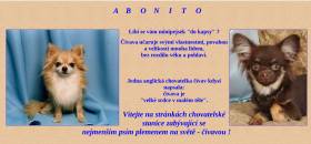 Abonito
