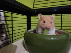 Od Minurky