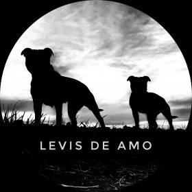 Levis De Amo