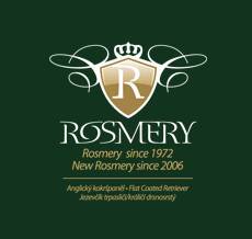Rosmery