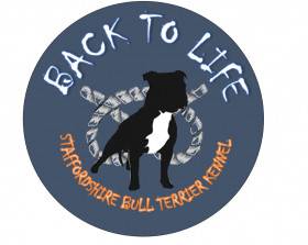 Back To life
