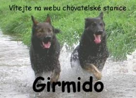 Girmido