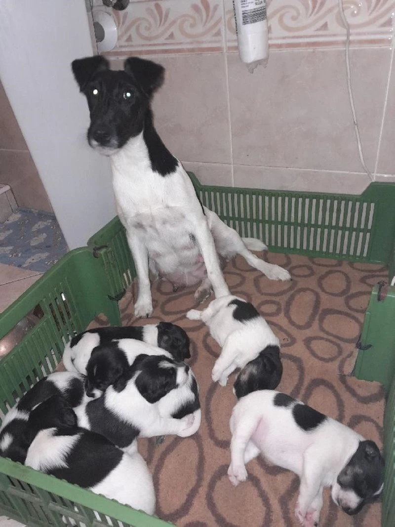 Od Hrubého lesa