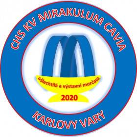 Kv Mirakulum Cavia