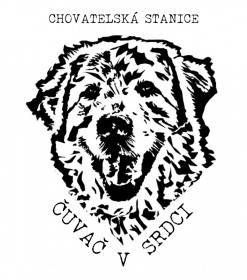 Čuvač v srdci