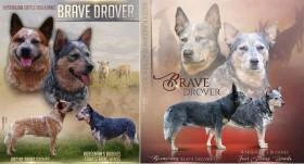 Brave Drover