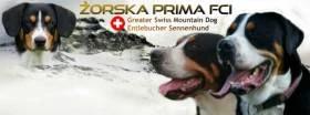 Żorska Prima