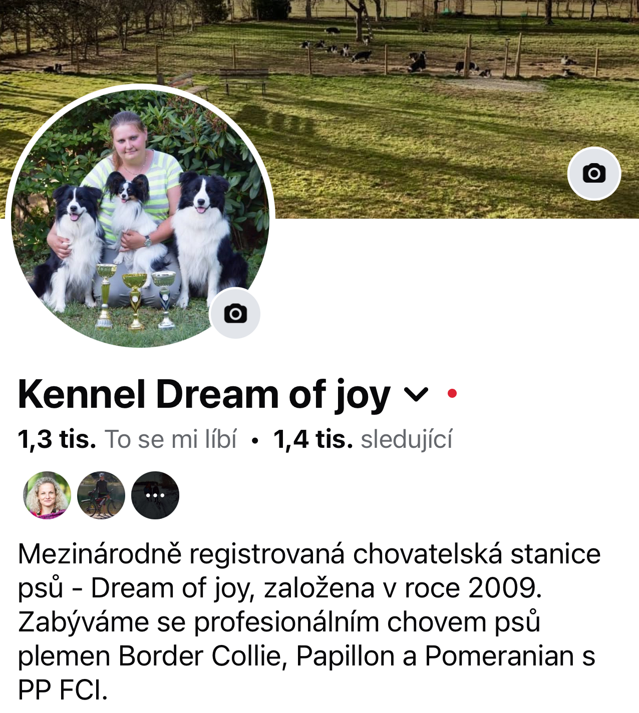 Dream of joy