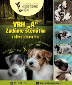 Z Chodovského vršku
