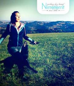 Nirreterrit