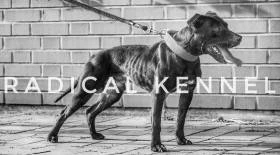 Radical kennel