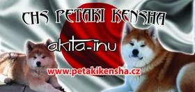 Petaki kensha