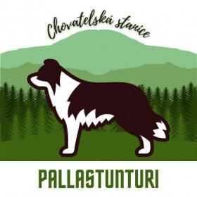 Pallastunturi