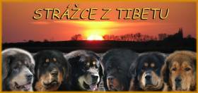 Strážce z Tibetu