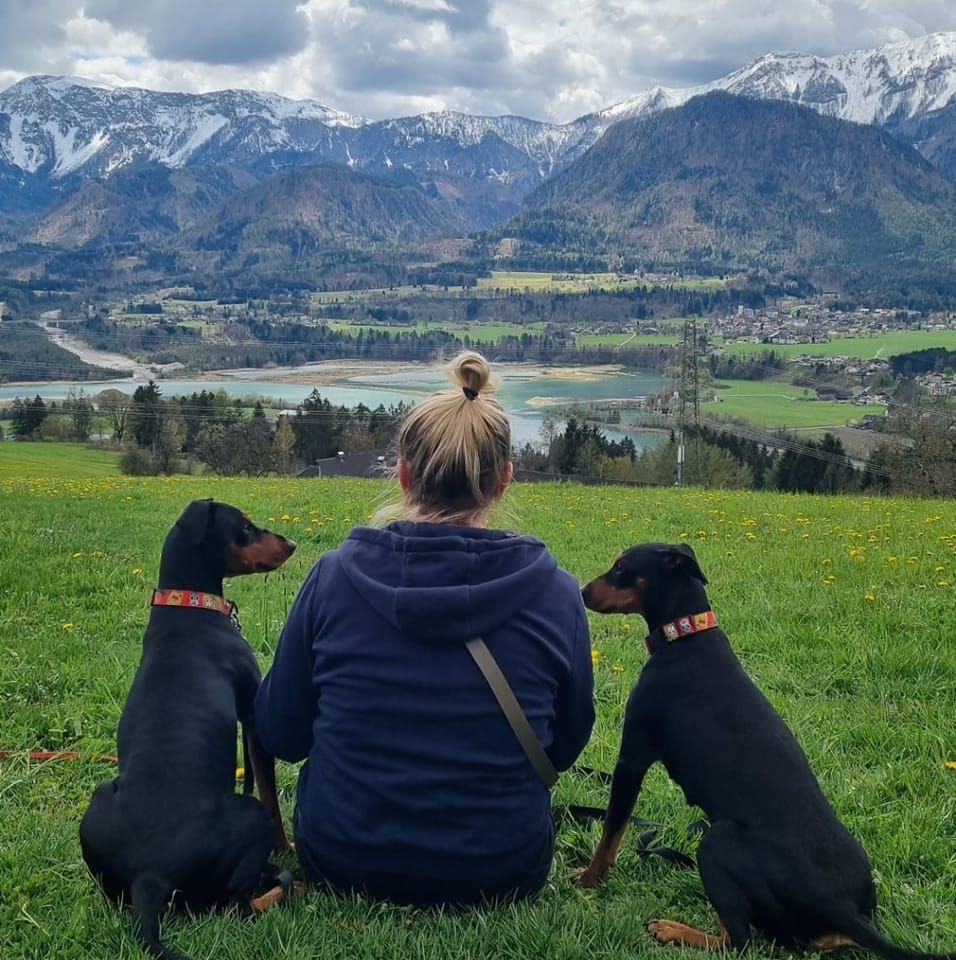 Deutscher Pinscher Fort Cooper Ewa Bednarz