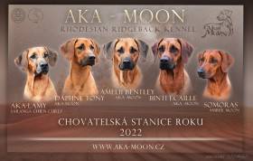 Aka-Moon