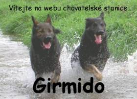 Girmido