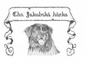 Jakubská hůrka