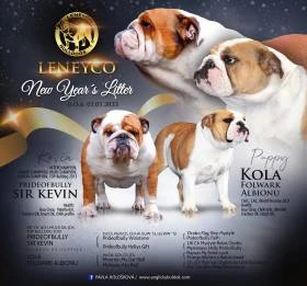 Leneyco