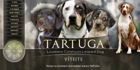 Tartuga