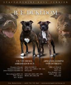 B.E.Dukedom