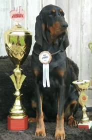 Black and Tan from Red Castle