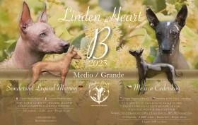 Linden Heart