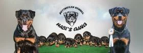 Habi's gang
