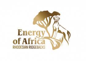 Energy of Africa