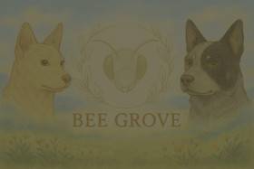 Bee Grove